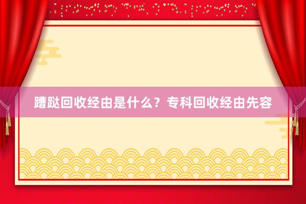 蹧跶回收经由是什么？专科回收经由先容
